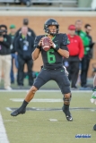 DENTON, TX - OCTOBER 28: North Texas Mean Green quarterback Mason Fine (6) during the game between the North Texas Mean Green and Old Dominion Monarchs on October 28, 2017, at Apogee Stadium in Denton, Texas. (Photo by George Walker/DFWsportsonline)