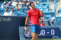 CINCINNATI, OH - AUGUST 15: Juan Martin Del Potro reacts to a point during the Western & Southern Open at the Lindner Family Tennis Center in Mason, Ohio on August 15, 2017. (Photo by George Walker/Icon Sportswire)
