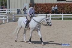 18033048_SMU_Equestrian