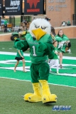 DENTON, TX - SEPTEMBER 01: UNT mascot Scrappy (1) during the game between North Texas and SMU on September 1, 2018 at Apogee Stadium in Denton, TX. (Photo by Mark Woods/DFWsportsonline)