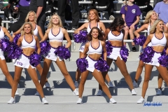 DALLAS, TX - SEPTEMBER 16: TCU Show Girls during the game between the SMU Mustangs and TCU Horned Frogs on September 16, 2017, at Amon G. Carter Stadium in Fort Worth, Texas. (Photo by George Walker/DFWsportsonline)