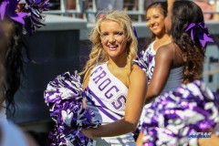 DALLAS, TX - SEPTEMBER 16: TCU cheerleader during the game between the SMU Mustangs and TCU Horned Frogs on September 16, 2017, at Amon G. Carter Stadium in Fort Worth, Texas.  (Photo by George Walker/DFWsportsonline)