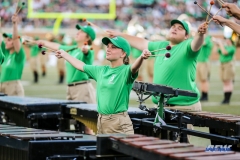 DENTON, TX - SEPTEMBER 23: UNT GREEN BRIGADE MARIMBA PLAYER DURING HALFTIME AT UNT MEAN GREEN AND UAB BLAZERS ON SEPTEMBER 23, 2017, AT APOGEE STADUIM IN DENTON, TEXAS. (PHOTO BY MARK WOODS/DFWSPORTSONLINE)