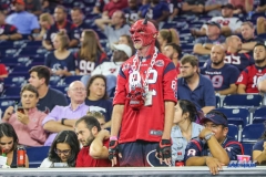 HOUSTON, TX - OCTOBER 08: Houston Texans fan during the game between the Houston Texans and Kansas City Chiefs on October 8, 2017, at NRG Stadium in Houston, TX. (Photo by George Walker/DFWsportsonline)