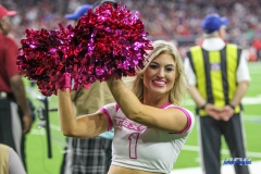 HOUSTON, TX - OCTOBER 08: Houston Texans cheerleader during the game between the Houston Texans and Kansas City Chiefs on October 8, 2017, at NRG Stadium in Houston, TX. (Photo by George Walker/DFWsportsonline)