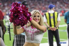 HOUSTON, TX - OCTOBER 08: Houston Texans cheerleader during the game between the Houston Texans and Kansas City Chiefs on October 8, 2017, at NRG Stadium in Houston, TX. (Photo by George Walker/DFWsportsonline)