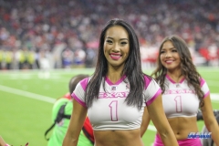 HOUSTON, TX - OCTOBER 08: Houston Texans cheerleader during the game between the Houston Texans and Kansas City Chiefs on October 8, 2017, at NRG Stadium in Houston, TX. (Photo by George Walker/DFWsportsonline)