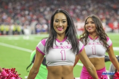 HOUSTON, TX - OCTOBER 08: Houston Texans cheerleader during the game between the Houston Texans and Kansas City Chiefs on October 8, 2017, at NRG Stadium in Houston, TX. (Photo by George Walker/DFWsportsonline)