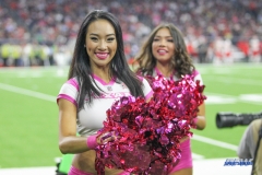 HOUSTON, TX - OCTOBER 08: Houston Texans cheerleader during the game between the Houston Texans and Kansas City Chiefs on October 8, 2017, at NRG Stadium in Houston, TX. (Photo by George Walker/DFWsportsonline)