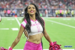 HOUSTON, TX - OCTOBER 08: Houston Texans cheerleader during the game between the Houston Texans and Kansas City Chiefs on October 8, 2017, at NRG Stadium in Houston, TX. (Photo by George Walker/DFWsportsonline)