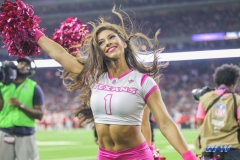 HOUSTON, TX - OCTOBER 08: Houston Texans cheerleader during the game between the Houston Texans and Kansas City Chiefs on October 8, 2017, at NRG Stadium in Houston, TX. (Photo by George Walker/DFWsportsonline)