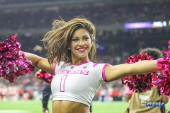 HOUSTON, TX - OCTOBER 08: Houston Texans cheerleader during the game between the Houston Texans and Kansas City Chiefs on October 8, 2017, at NRG Stadium in Houston, TX. (Photo by George Walker/DFWsportsonline)