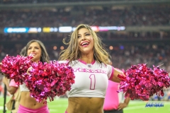 HOUSTON, TX - OCTOBER 08: Houston Texans cheerleader during the game between the Houston Texans and Kansas City Chiefs on October 8, 2017, at NRG Stadium in Houston, TX. (Photo by George Walker/DFWsportsonline)