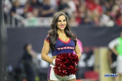 HOUSTON, TX - OCTOBER 08: Houston Texans cheerleader during the game between the Houston Texans and Kansas City Chiefs on October 8, 2017, at NRG Stadium in Houston, TX. (Photo by George Walker/DFWsportsonline)