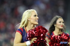 HOUSTON, TX - OCTOBER 08: Houston Texans cheerleader during the game between the Houston Texans and Kansas City Chiefs on October 8, 2017, at NRG Stadium in Houston, TX. (Photo by George Walker/DFWsportsonline)