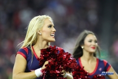 HOUSTON, TX - OCTOBER 08: Houston Texans cheerleader during the game between the Houston Texans and Kansas City Chiefs on October 8, 2017, at NRG Stadium in Houston, TX. (Photo by George Walker/DFWsportsonline)