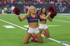 HOUSTON, TX - OCTOBER 08: Houston Texans cheerleader during the game between the Houston Texans and Kansas City Chiefs on October 8, 2017, at NRG Stadium in Houston, TX. (Photo by George Walker/DFWsportsonline)