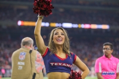 HOUSTON, TX - OCTOBER 08: Houston Texans cheerleader during the game between the Houston Texans and Kansas City Chiefs on October 8, 2017, at NRG Stadium in Houston, TX. (Photo by George Walker/DFWsportsonline)