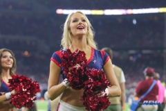 HOUSTON, TX - OCTOBER 08: Houston Texans cheerleader during the game between the Houston Texans and Kansas City Chiefs on October 8, 2017, at NRG Stadium in Houston, TX. (Photo by George Walker/DFWsportsonline)
