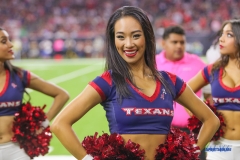 HOUSTON, TX - OCTOBER 08: Houston Texans cheerleader during the game between the Houston Texans and Kansas City Chiefs on October 8, 2017, at NRG Stadium in Houston, TX. (Photo by George Walker/DFWsportsonline)