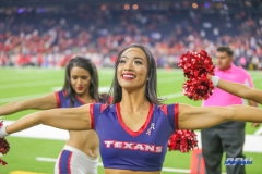 HOUSTON, TX - OCTOBER 08: Houston Texans cheerleader during the game between the Houston Texans and Kansas City Chiefs on October 8, 2017, at NRG Stadium in Houston, TX. (Photo by George Walker/DFWsportsonline)