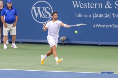 CINCINNATI, OH - AUGUST 14: Fernando Verdasco (ESP) hits a forehand during the Western & Southern Open at the Lindner Family Tennis Center in Mason, Ohio on August 14, 2017. (Photo by George Walker/Icon Sportswire)