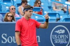 CINCINNATI, OH - AUGUST 15: Juan Martin Del Potro (ARG) points to a fan during the Western & Southern Open at the Lindner Family Tennis Center in Mason, Ohio on August 14, 2017. (Photo by George Walker/Icon Sportswire)