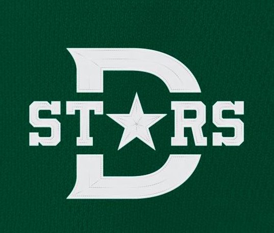 Dallas Stars Winter Classic Jersey, 2020 Bridgestone NHL Winter Classic